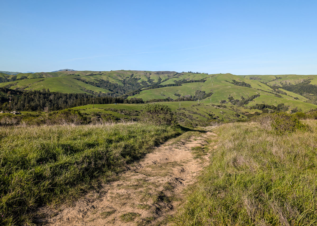 Bikepacking Marin - Camp Taylor — image 5