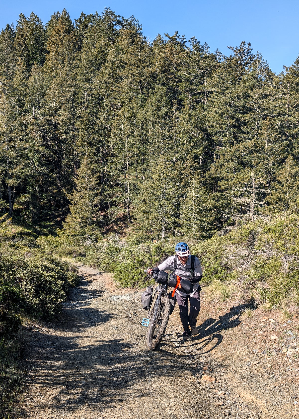 Bikepacking Marin - Camp Taylor — image 7