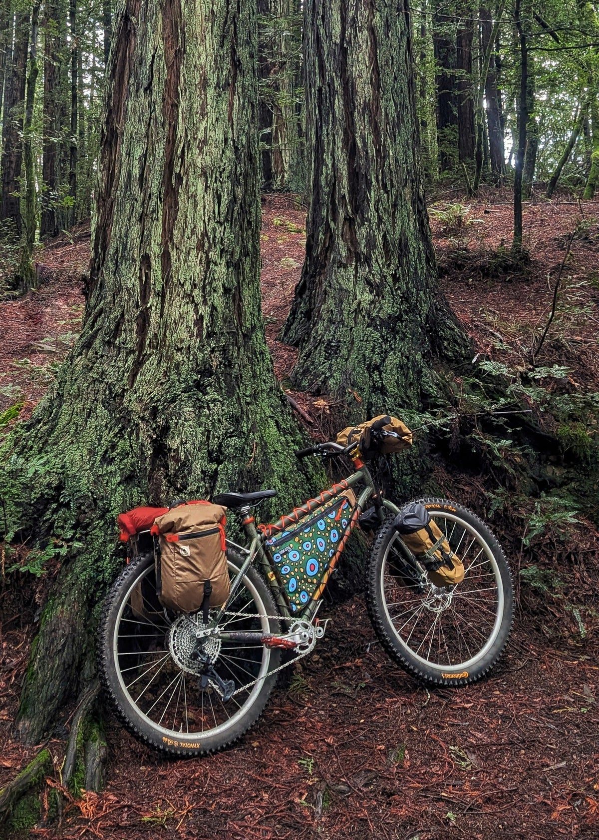 Bikepacking Marin - Camp Taylor — image 3